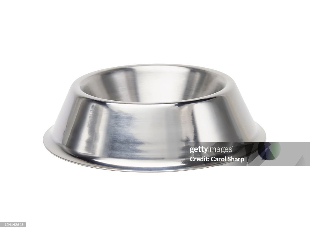 Shiny metal dog bowl