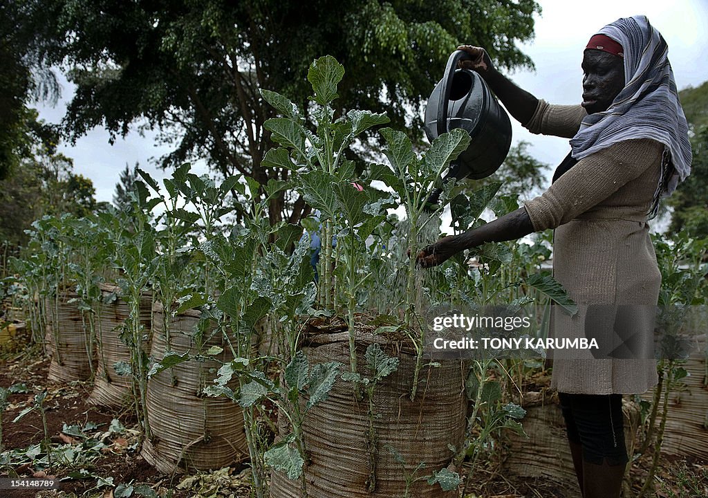 KENYA-AGRICULTURE-SACK-GARDENS