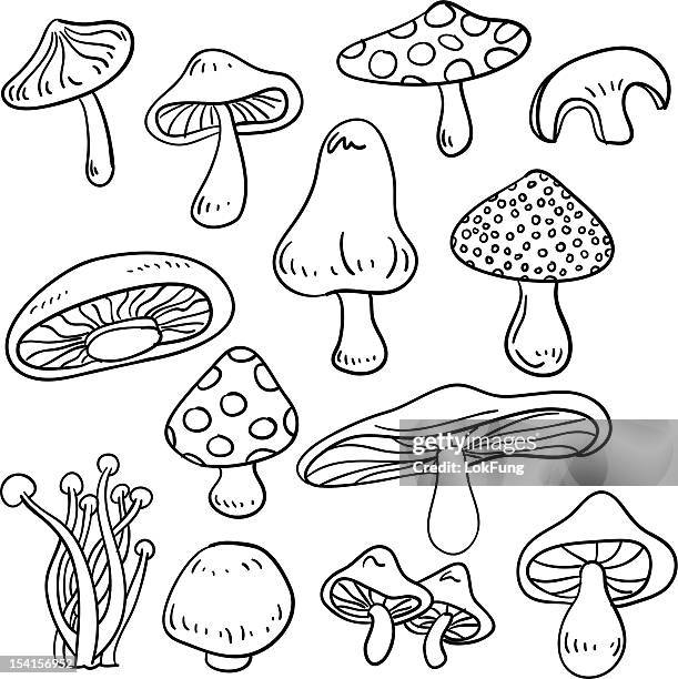 bildbanksillustrationer, clip art samt tecknat material och ikoner med mushroom collection - giftsvamp
