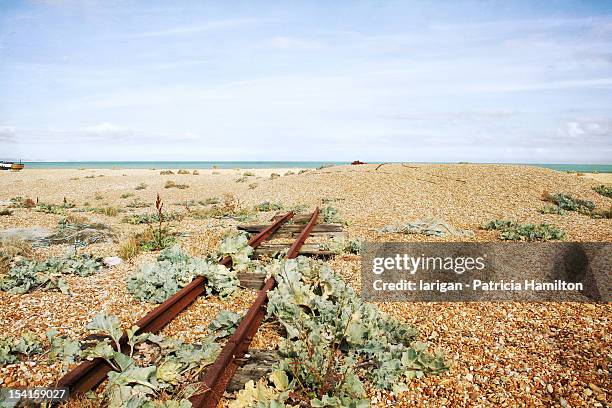 the end of the track - dungeness stock pictures, royalty-free photos & images