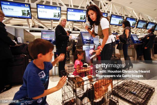 Charlie Torres plays with his two dogs Max and Bella as his mother Iliana looks on as they check-in baggage before traveling to Florida for the...