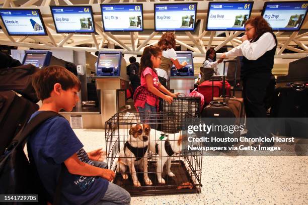 Charlie Torres plays with his two dogs Max and Bella as his mother Iliana checks-in him and his sister Nicole as they check-in baggage before...