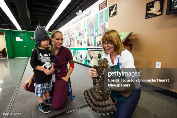 Sharon Schmalz, right, holds an injured Coopers Hawk brought in by Patty Allison, center, and Seth Petrey at the Wildlife Center of Texas, Tuesday,...