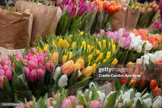 spring tulips at the market - charlotte north carolina spring stock pictures, royalty-free photos & images