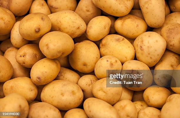 potatoes - raw potato 個照片及圖片檔