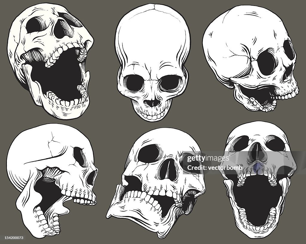 Vintage Vector Skull Collection