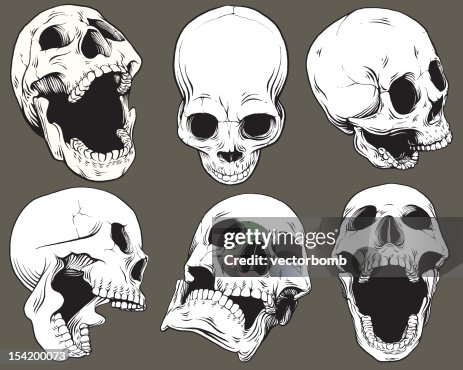 Vintage Vector Skull Collection Vintage Vector Skull Collection