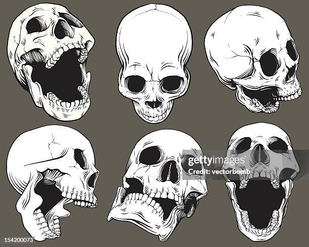 vintage vector skull collection - human skull mouth open stock illustrations