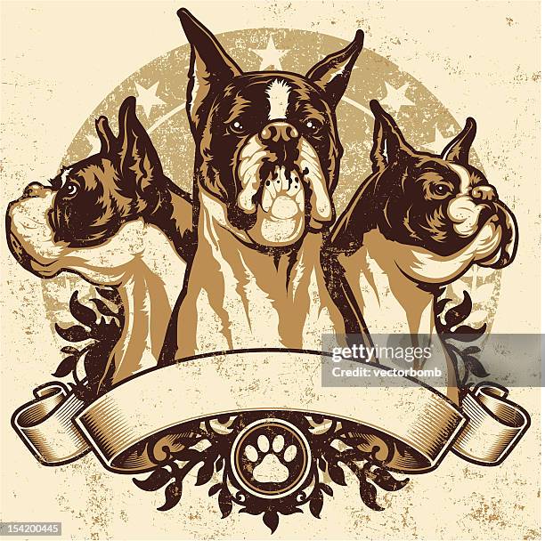 boxer crest design - boxer dog stock illustrations