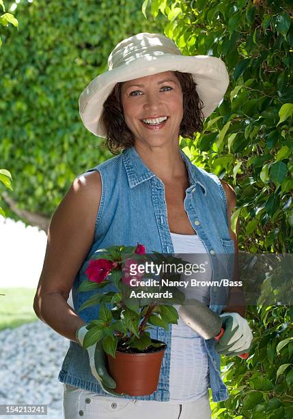caucasian woman in forties gardening. - brown hat 個照片及圖片檔