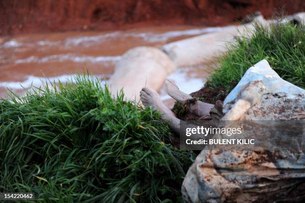 The feet of an unidentified corpse lie near a water canal following an assault by Syrian security forces in Idlib in northwestern Syria on February...