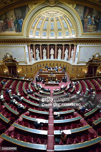 General view of the French Senate's hemicycle at the Palais du Luxembourg, on October 16, 2012 in Paris. AFP PHOTO / ERIC FEFERBERG