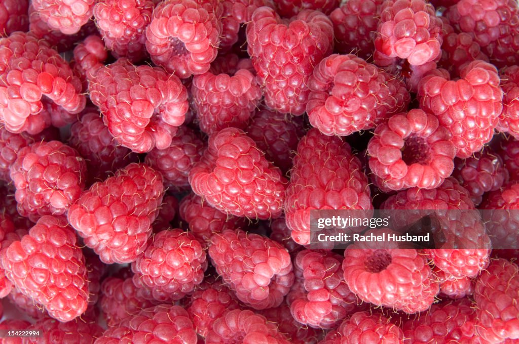 Fresh raspberries