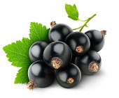 Black currants and leafs over white background