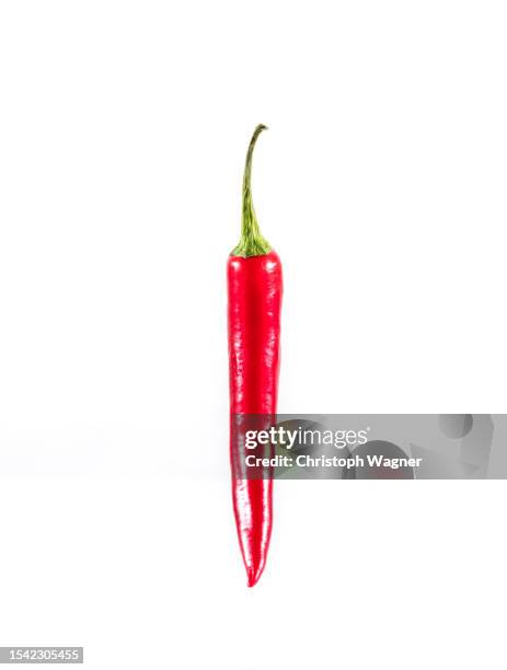 studio, chili, schote, spiegelung - chili schote stock pictures, royalty-free photos & images