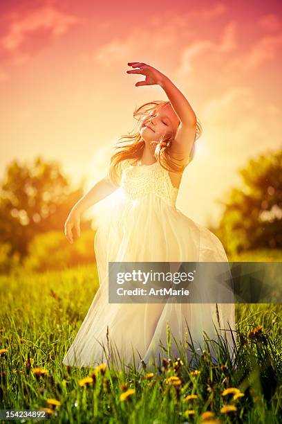 Summer Sunset High-Res Stock Photo - Getty Images