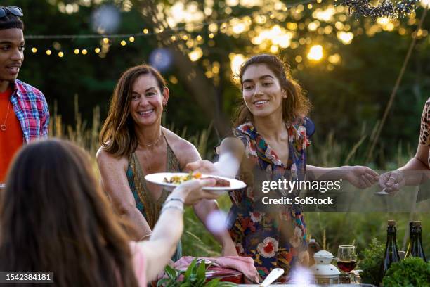 is that enough for you? - picnic stock pictures, royalty-free photos & images