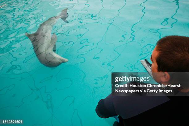 Errol Ronje, a Field Coordinator for the Texas Marine Mammal Stranding Network, works with Donley, an 11-month-old baby Atlantic Bottlenose dolphin...