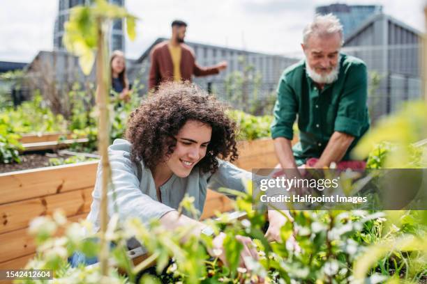 happy neighbours taking care of their community garden. - jardin potager photos et images de collection