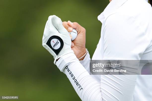Detailed view of the glove worn by Pajaree Ananannarukarn of Thailand on the 16th tee during the first round of the Dow Great Lakes Bay Invitational...
