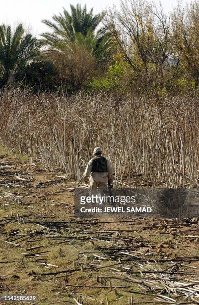 Soldiers from the 4-42 Field Artillery Division walks towards the farm house from where Iraqi ex-dictator Saddam Hussein was captured by the US...