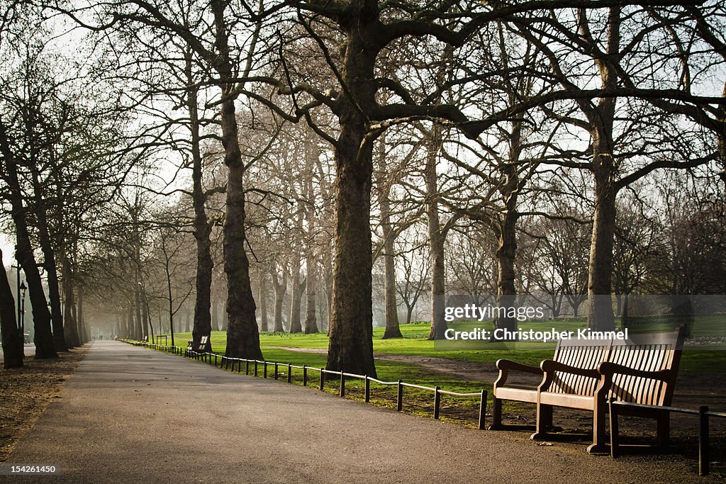 Park and Bench