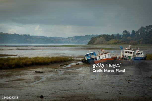 beautiful waterfront landscape in chile - low tide stockfoto's en -beelden