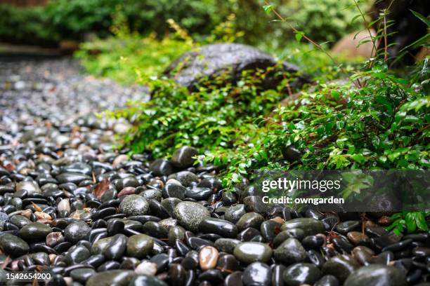 stone path in the garden - pebble stock pictures, royalty-free photos & images