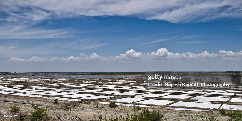 Salt pans on East Coast Road