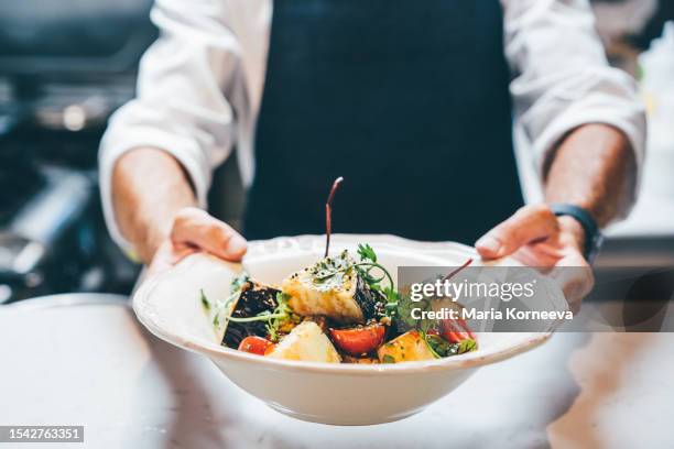 close up a chef preparing a gourmet dish. - serving dish stock pictures, royalty-free photos & images