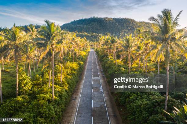 straight road among palm trees, philippines - philippinische kultur stock-fotos und bilder