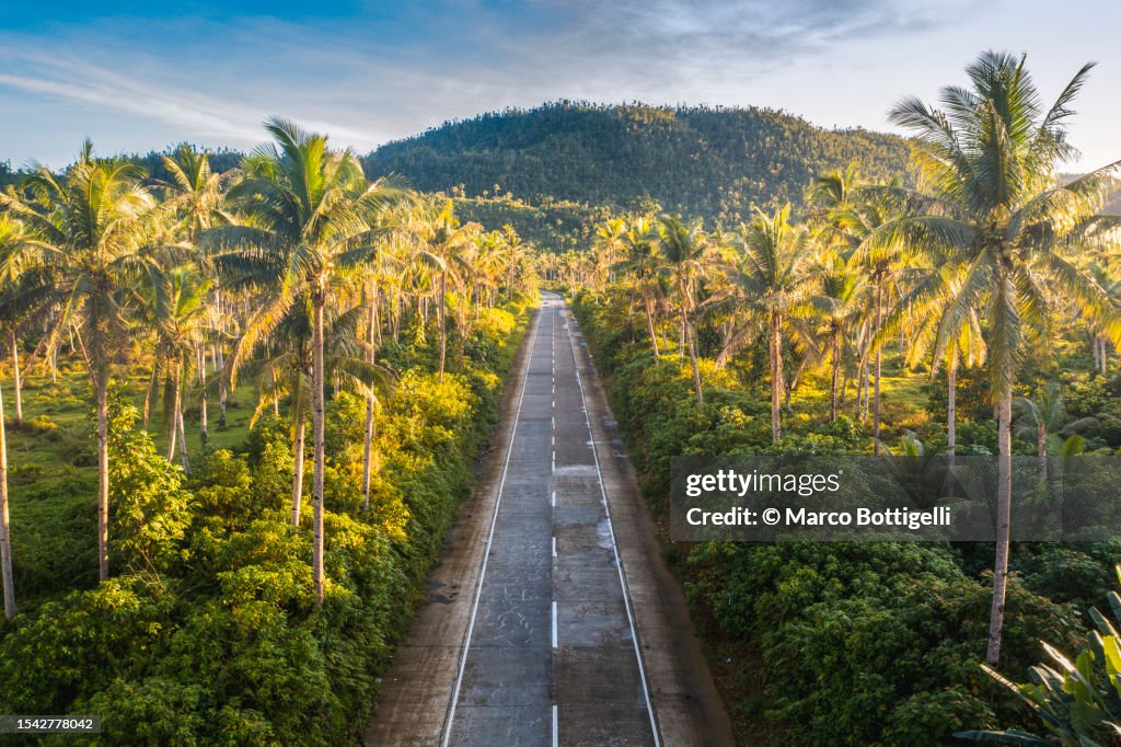 Straight road among palm trees, Philippines