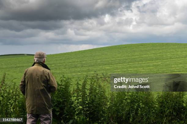 senior man looking at a field of cut silage - waxed jacket stock pictures, royalty-free photos & images