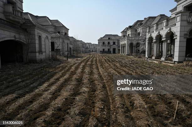 This photo taken on March 31, 2023 shows deserted villas in a suburb of Shenyang in China's northeastern Liaoning province. Cattle wander between the...