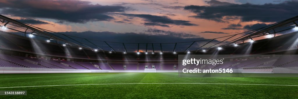 3D image of open air empty american football stadium with flashlight, green grass, gates. Evening sky