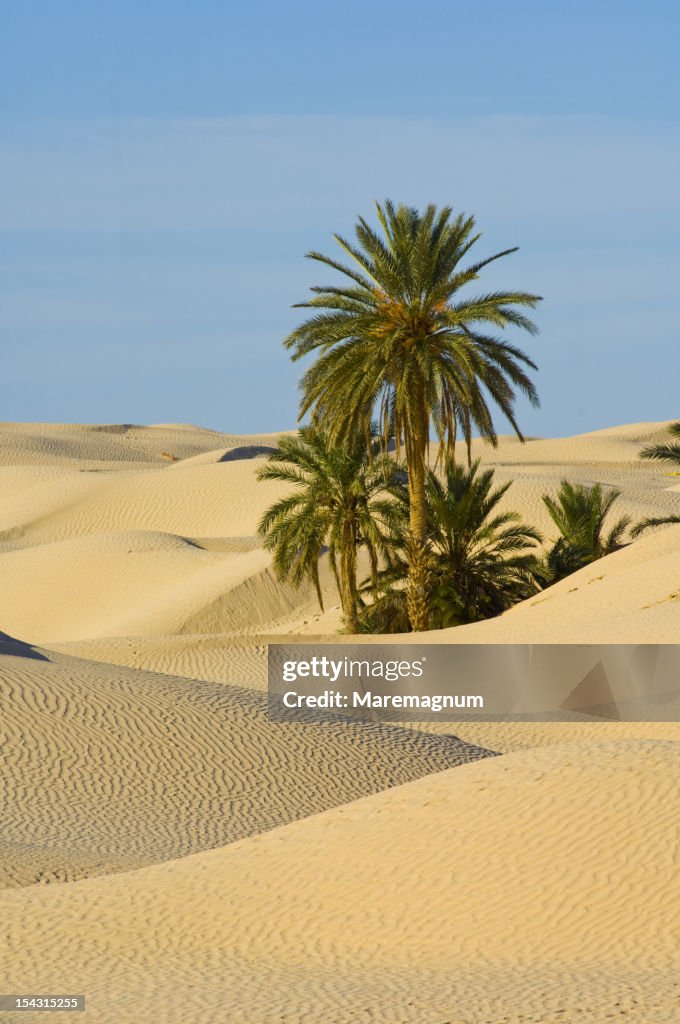Sand dunes around the old town