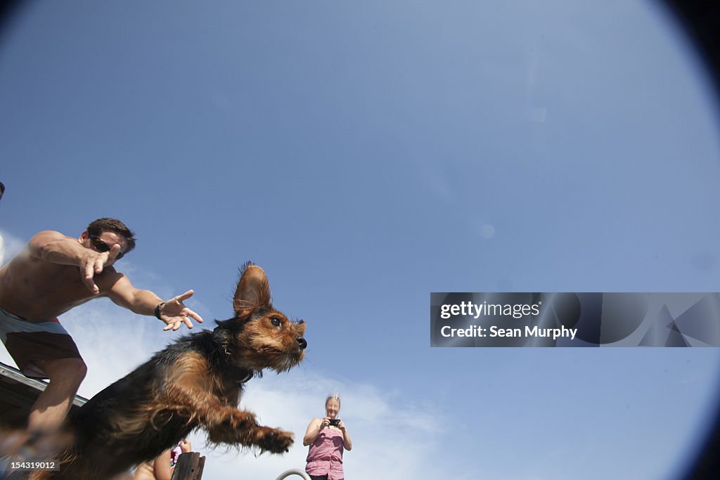 Black and Brown Terrier Jumping into a Lake