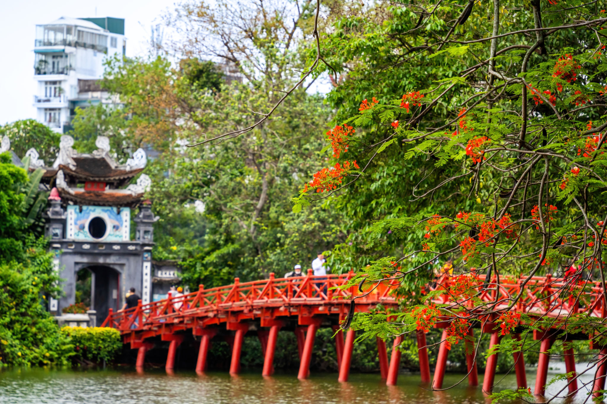 view of The Huc Red Bridge and Ngoc Son temple in the center of Hoan Kiem Lake, Ha Noi, Vietnam. view of The Huc Red Bridge and Ngoc Son temple in the center of Hoan Kiem Lake, Ha Noi, Vietnam.