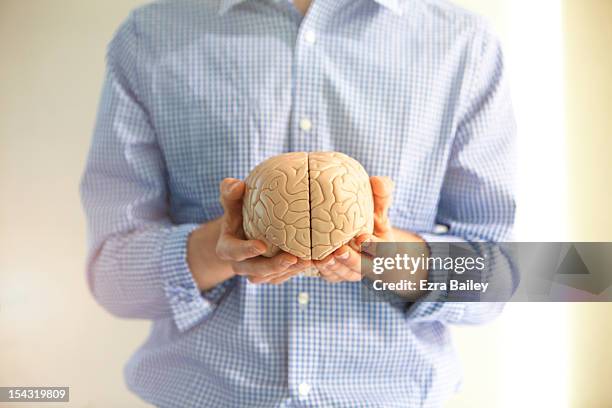 man holding a model of a brain. - specimen holder stockfoto's en -beelden