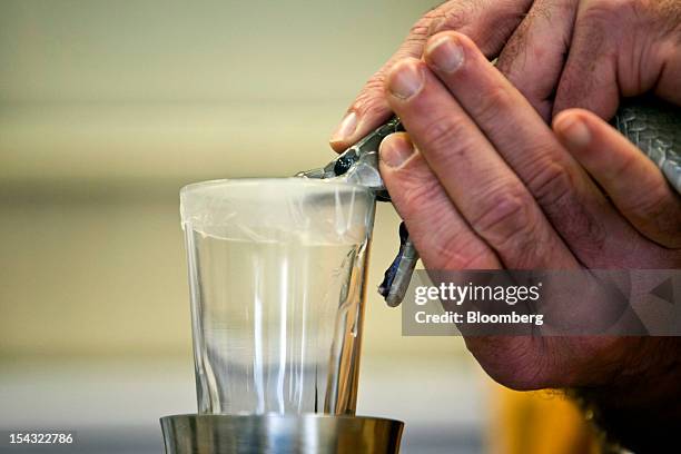 An employee at the Latoxan SAS laboratory extracts the venom from a Black Mamba snake into a collection jar at the company's unit in Valence, France,...