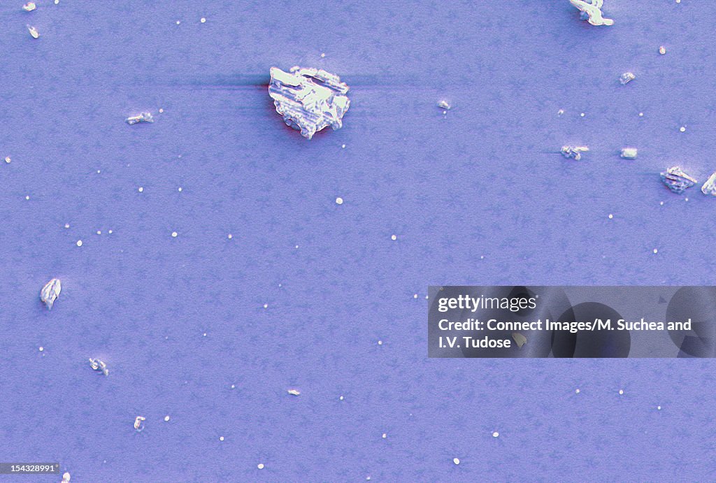 SEM Micrograph of antimony film surface