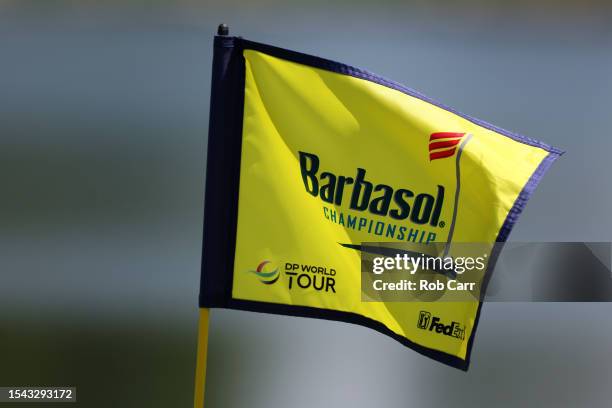 Pin flag is seen on the ninth green during the second round of the Barbasol Championship at Keene Trace Golf Club on July 14, 2023 in United States.