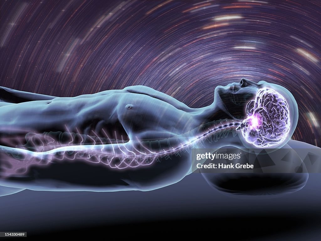 X-ray view of a man dreaming with view of brain and spinal cord