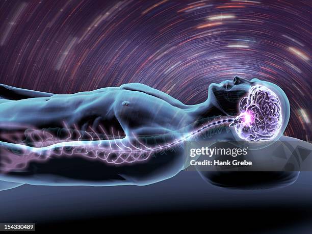 x-ray view of a man dreaming with view of brain and spinal cord - occipital lobe stock illustrations