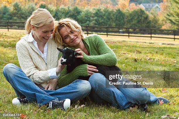 two women with black lamb sitting on field - laughing sheep stock pictures, royalty-free photos & images