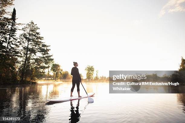 woman rowing paddle board on still lake - peterborough ontario stockfoto's en -beelden