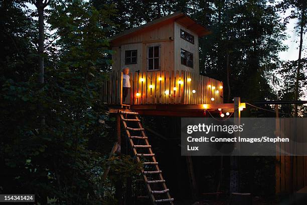 boy standing in treehouse - tree house night stock pictures, royalty-free photos & images