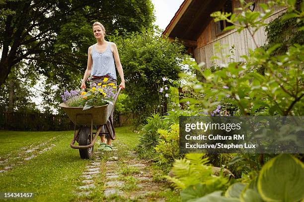 woman pushing flowers in wheelbarrow - carriola foto e immagini stock