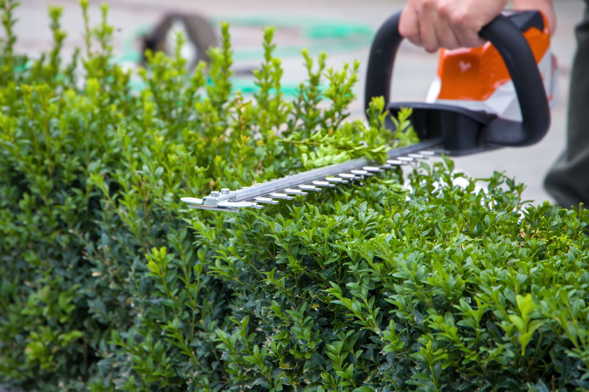 landscaping trimming