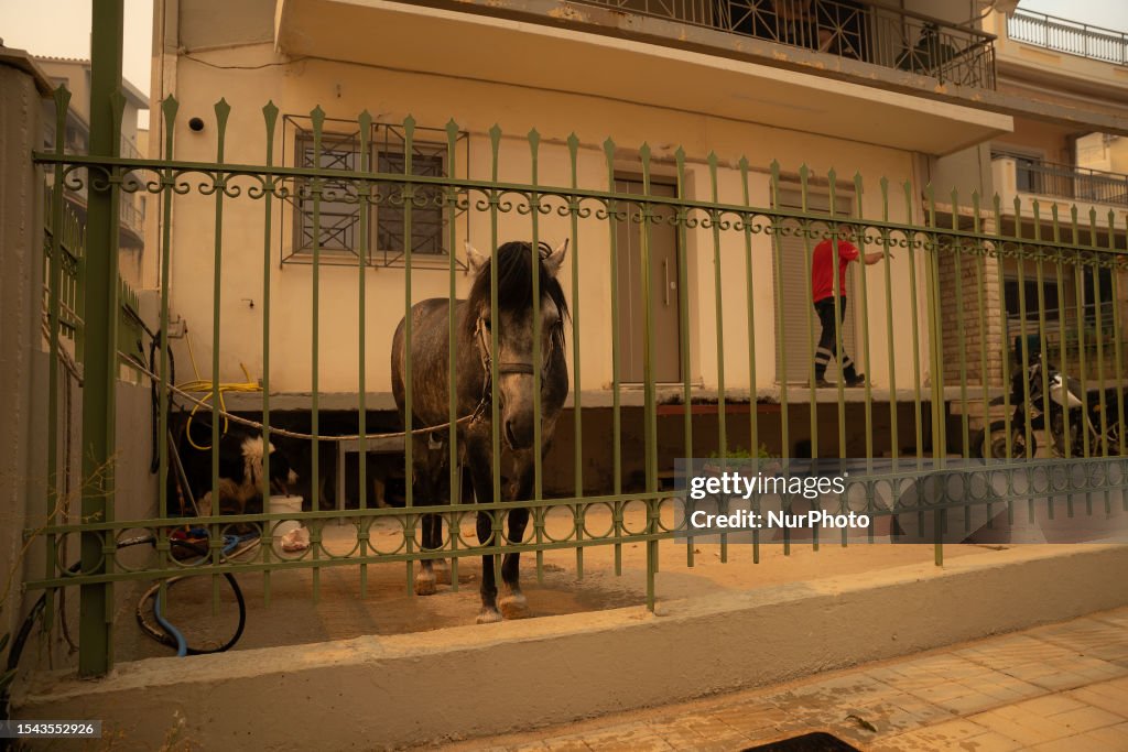 Wildfires Ravage Greece